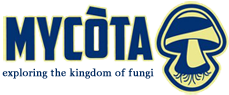 Mycota Logo
