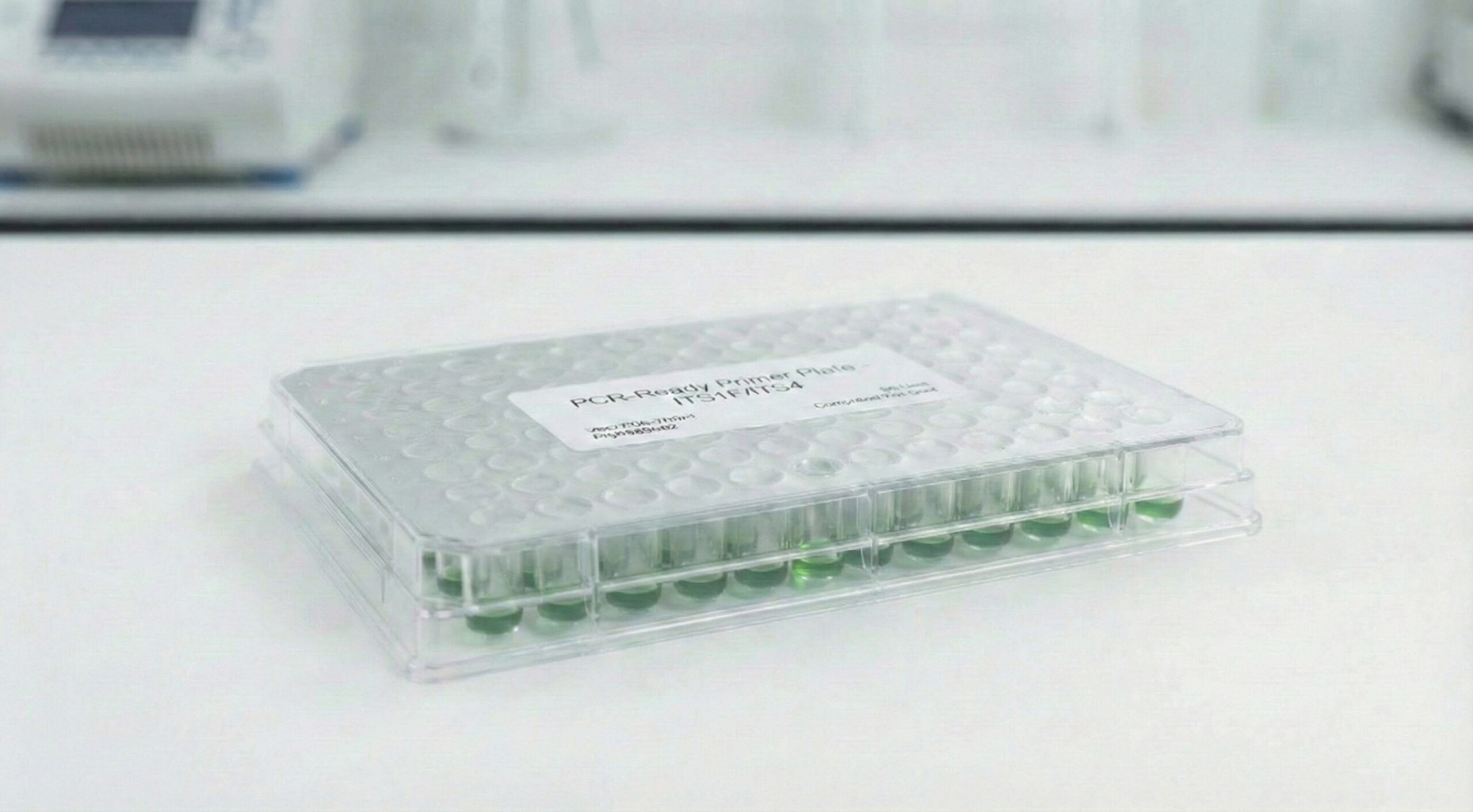 LifePool® PCR-Ready Primer Plates and Sequencing - Image 4